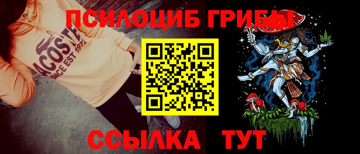 Псилоцибиновые грибы мухоморы  Вход с VPN  цены наркотик  Заречный 